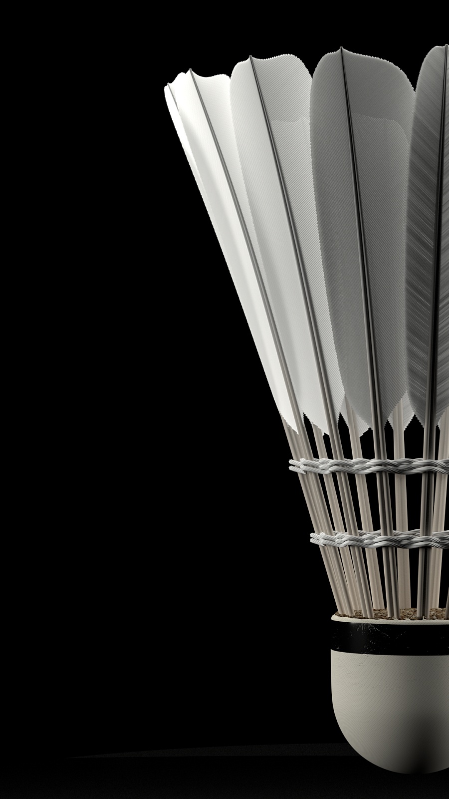 期待的年轻 期待的年轻